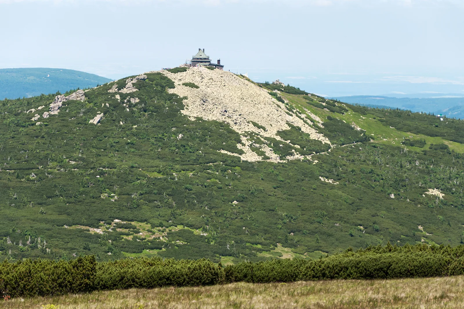 Szrenica